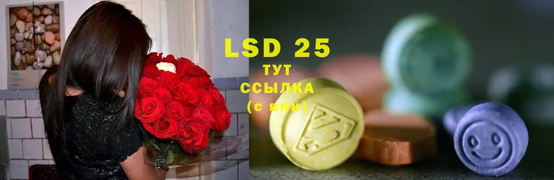 kraken как войти  цены   Порхов  LSD-25 экстази ecstasy 